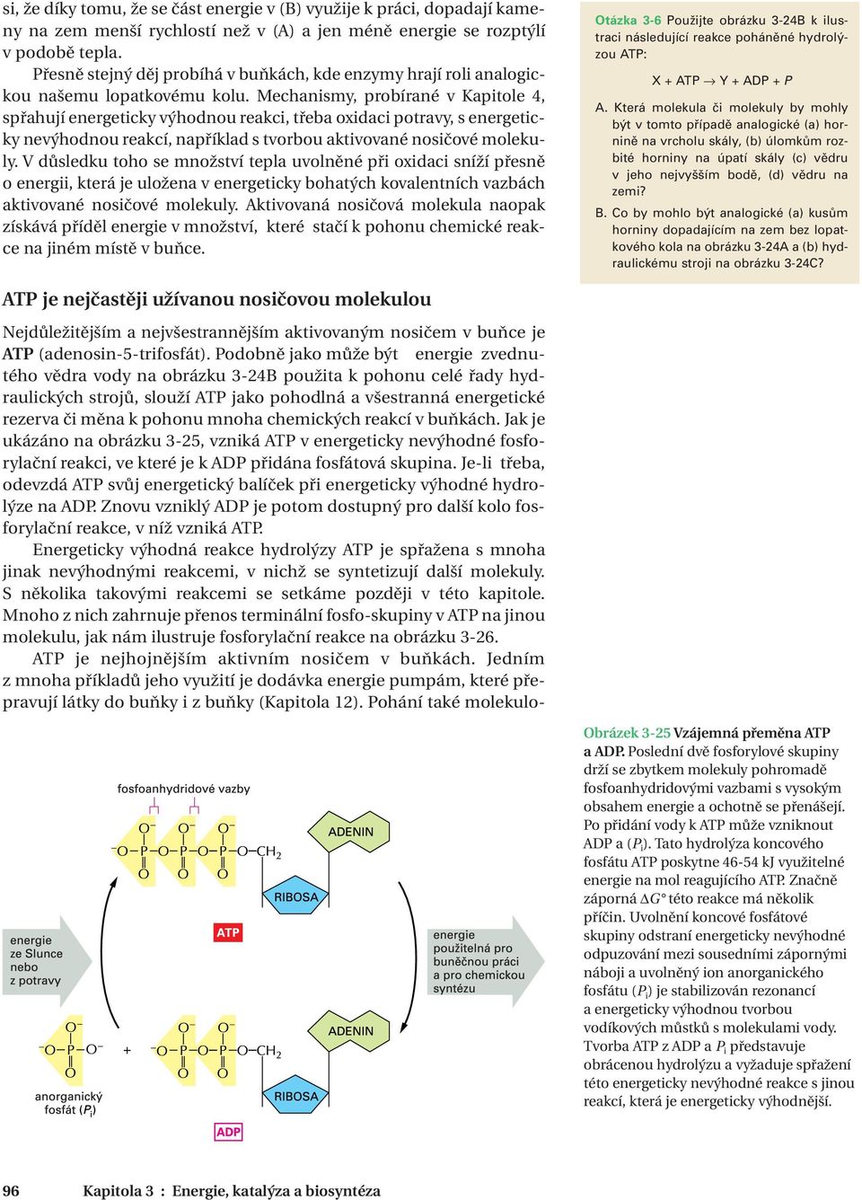 Mechanismy, probírané v Kapitole 4, spřahují energeticky výhodnou reakci, třeba oxidaci potravy, s energeticky nevýhodnou reakcí, například s tvorbou aktivované nosičové molekuly.