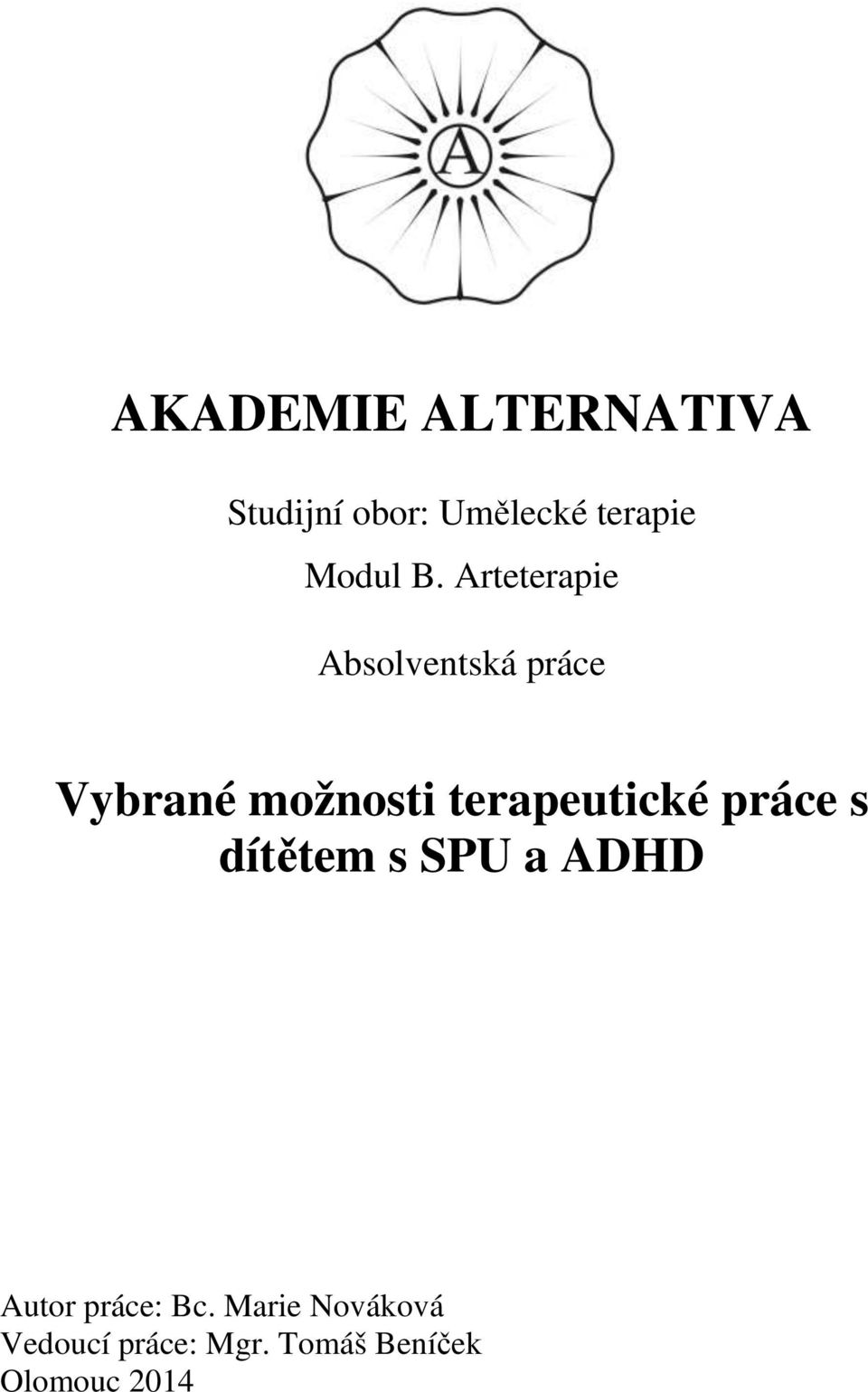 Arteterapie Absolventská práce Vybrané možnosti