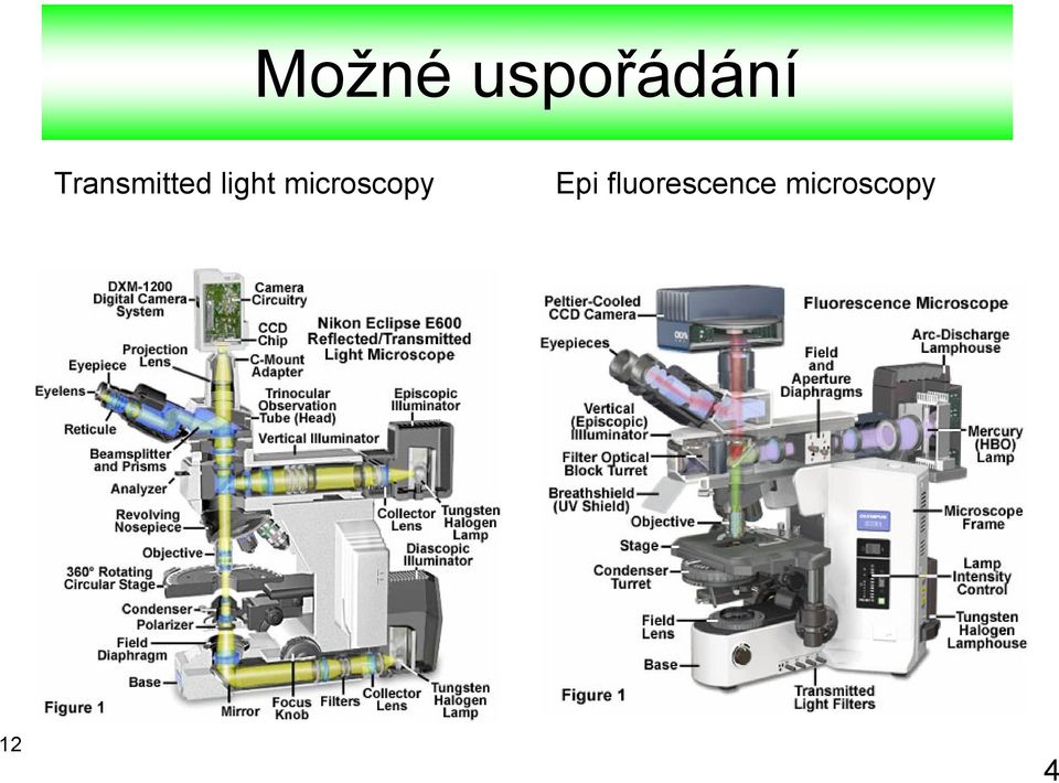 microscopy Epi
