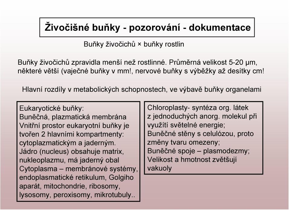 Hlavní rozdíly v metabolických schopnostech, ve výbavě buňky organelami Eukaryotické buňky: Buněčná, plazmatická membrána Vnitřní prostor eukaryotní buňky je tvořen 2 hlavními kompartmenty: