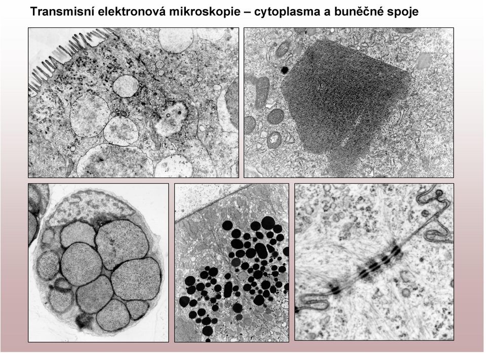 mikroskopie