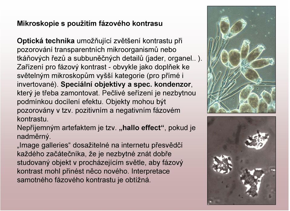 Pečlivé seřízení je nezbytnou podmínkou docílení efektu. Objekty mohou být pozorovány v tzv. pozitivním a negativním fázovém kontrastu. Nepříjemným artefaktem je tzv. hallo effect, pokud je nadměrný.