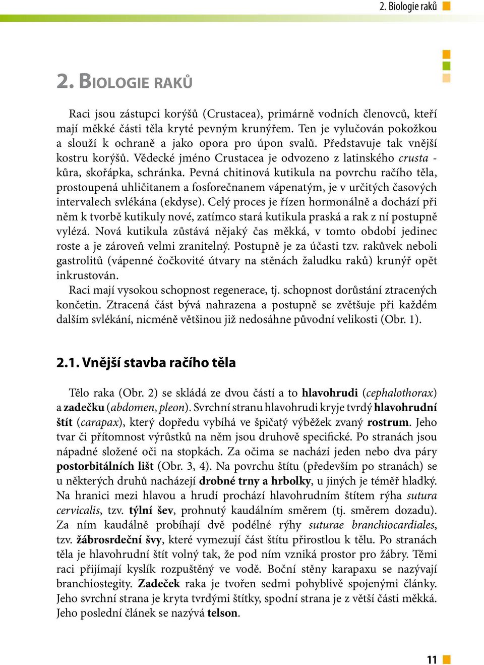 Pevná chitinová kutikula na povrchu račího těla, prostoupená uhličitanem a fosforečnanem vápenatým, je v určitých časových intervalech svlékána (ekdyse).