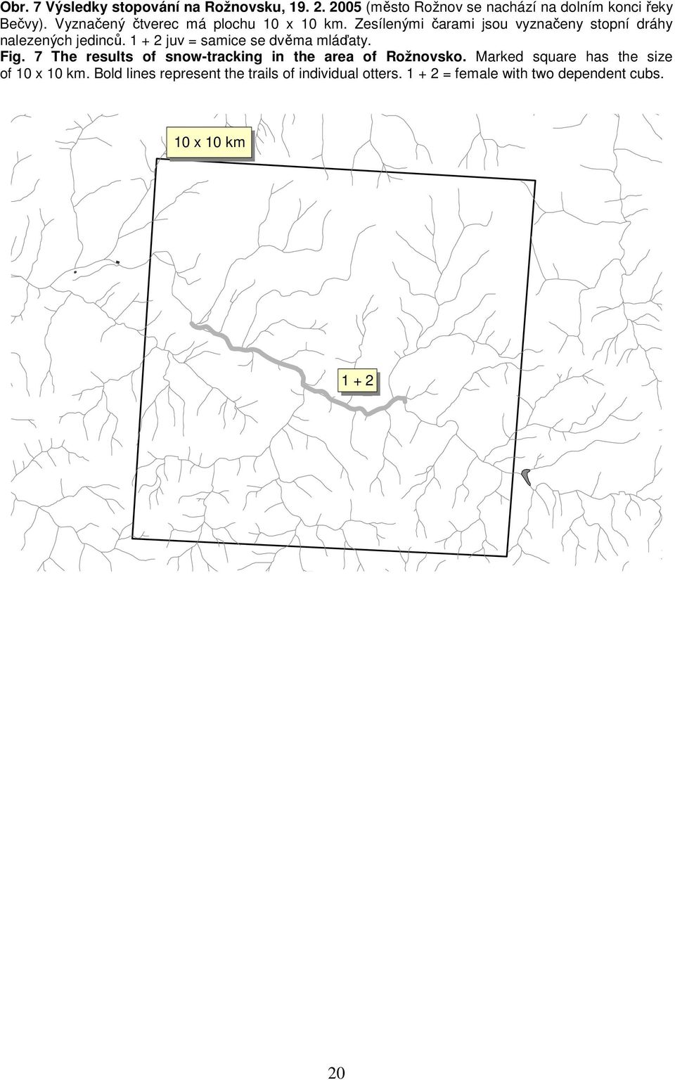 + 2 juv = samice se dvěma mláďaty. Fig. 7 The results of snow-tracking in the area of Rožnovsko.