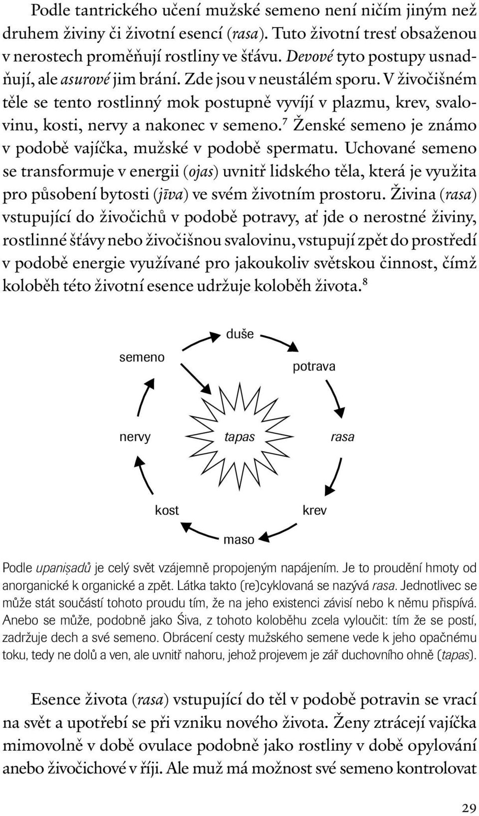 7 Ženské semeno je známo v podobě vajíčka, mužské v podobě spermatu.