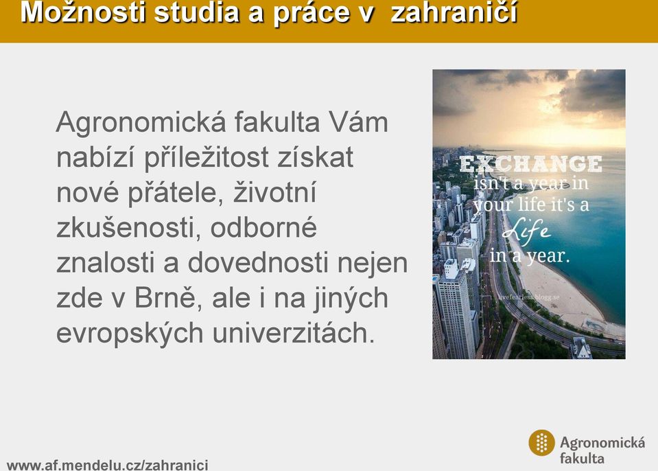 zkušenosti, odborné znalosti a dovednosti nejen zde v