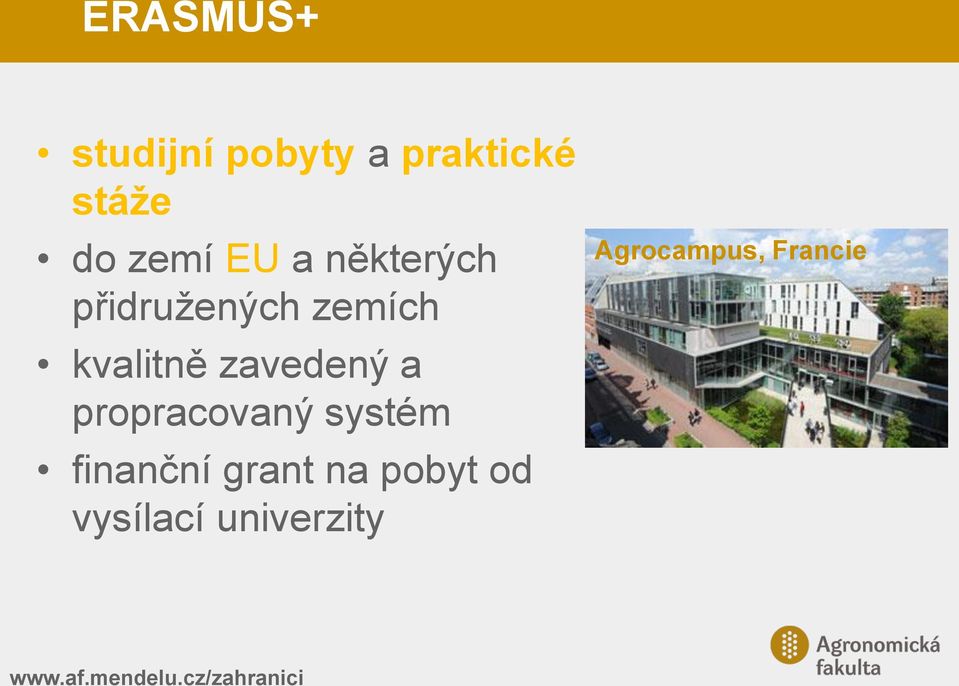propracovaný systém finanční grant na pobyt od
