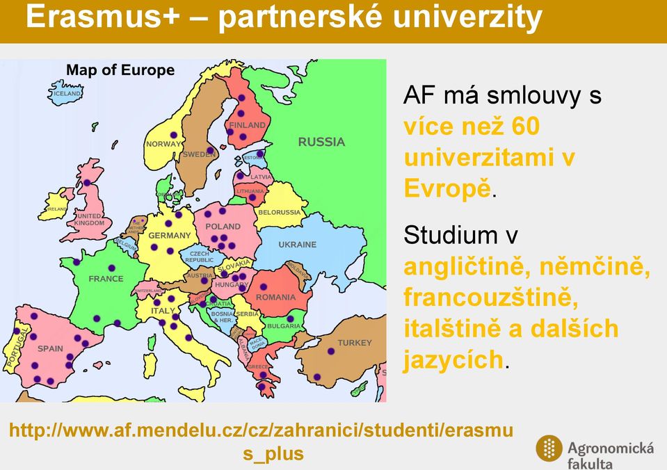 Studium v angličtině, němčině, francouzštině,