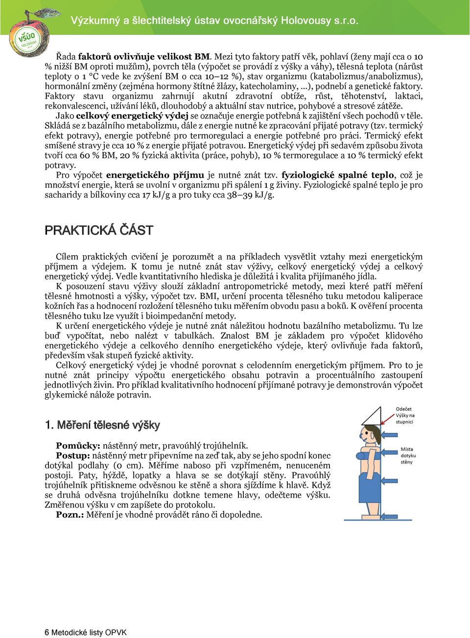 12 %), stav organizmu (katabolizmus/anabolizmus), hormonální změny (zejména hormony štítné žlázy, katecholaminy, ), podnebí a genetické faktory.