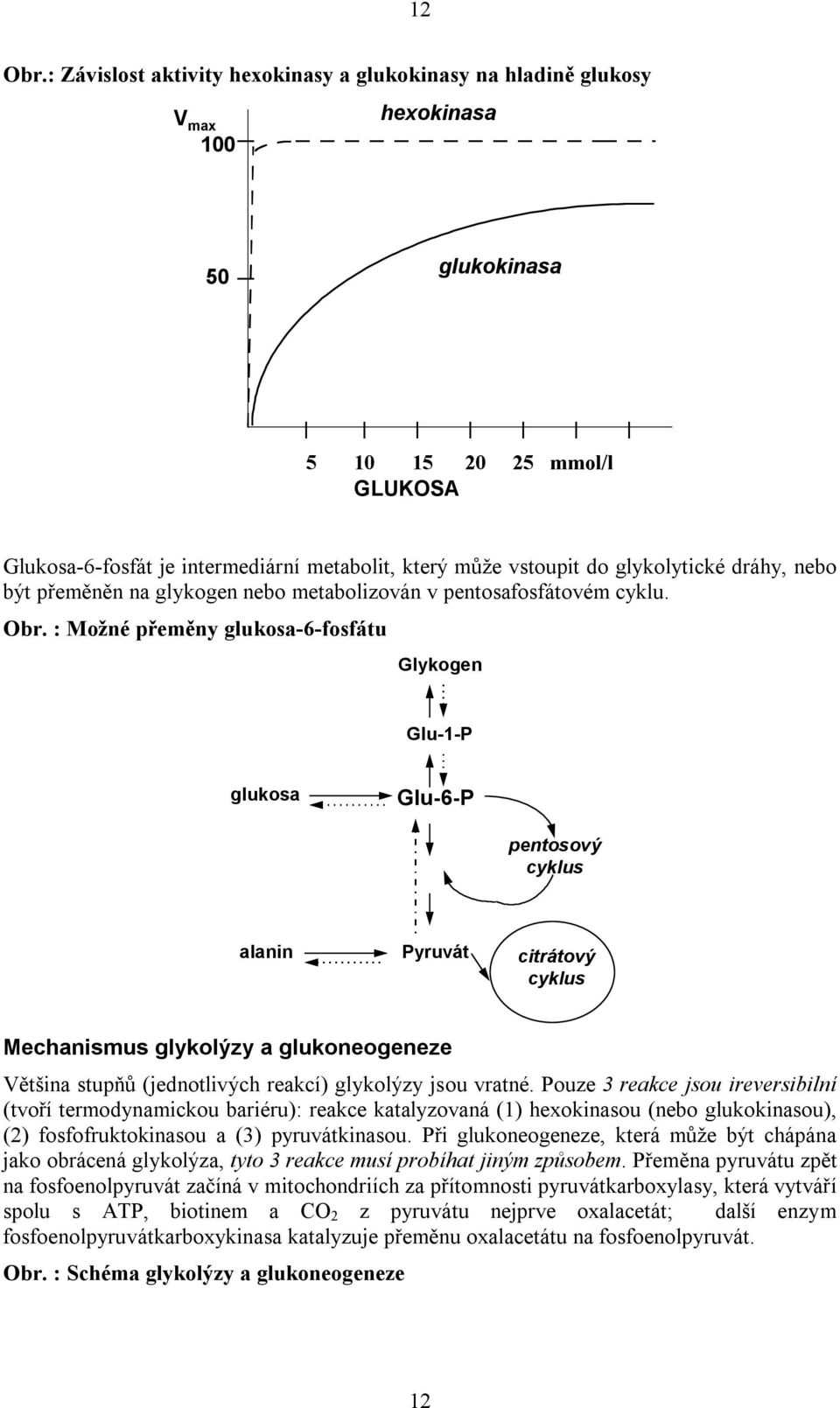 glykolytické dráhy, nebo být přeměněn na glykogen nebo metabolizován v pentosafosfátovém cyklu. Obr.