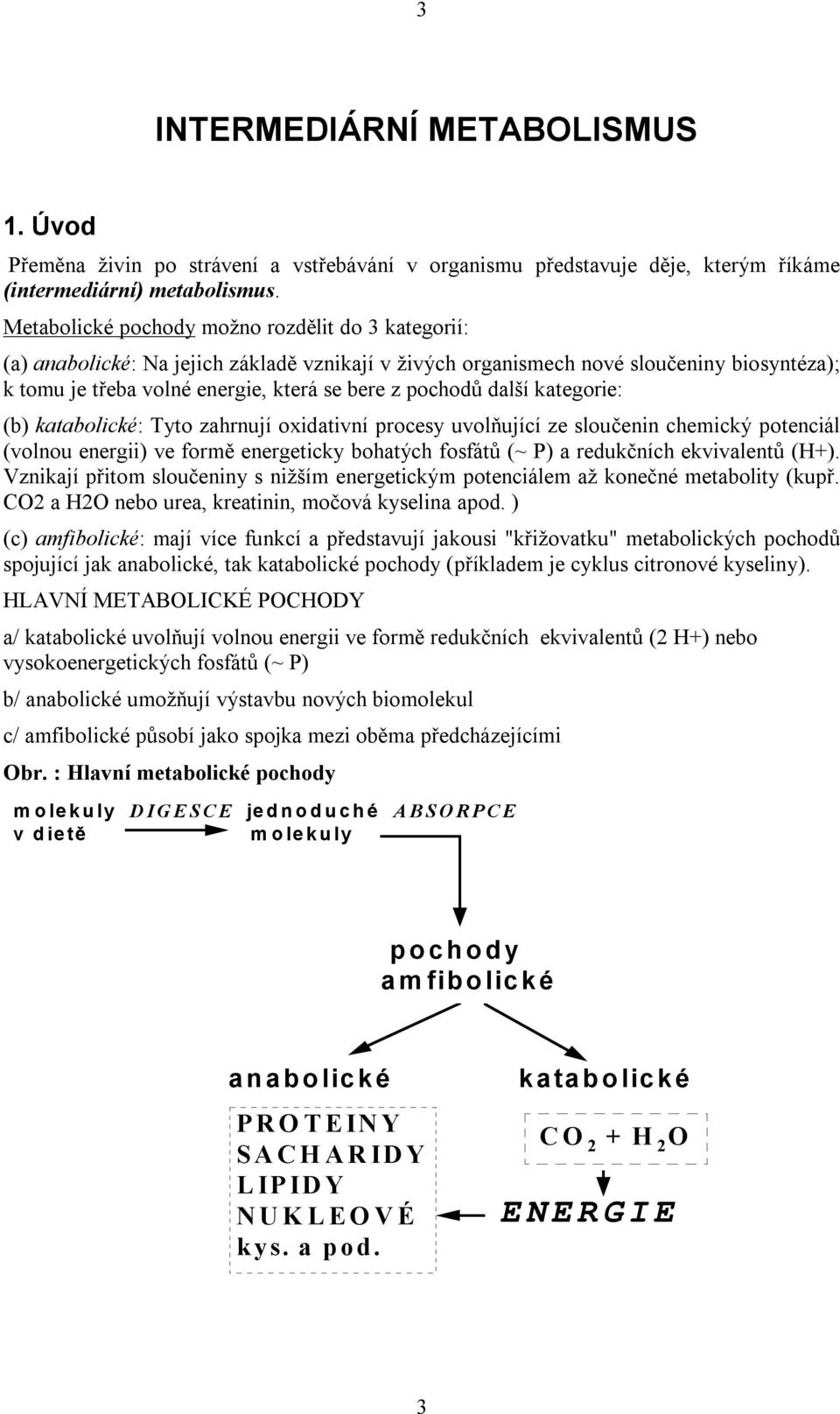 další kategorie: (b) katabolické: Tyto zahrnují oxidativní procesy uvolňující ze sloučenin chemický potenciál (volnou energii) ve formě energeticky bohatých fosfátů (~ P) a redukčních ekvivalentů