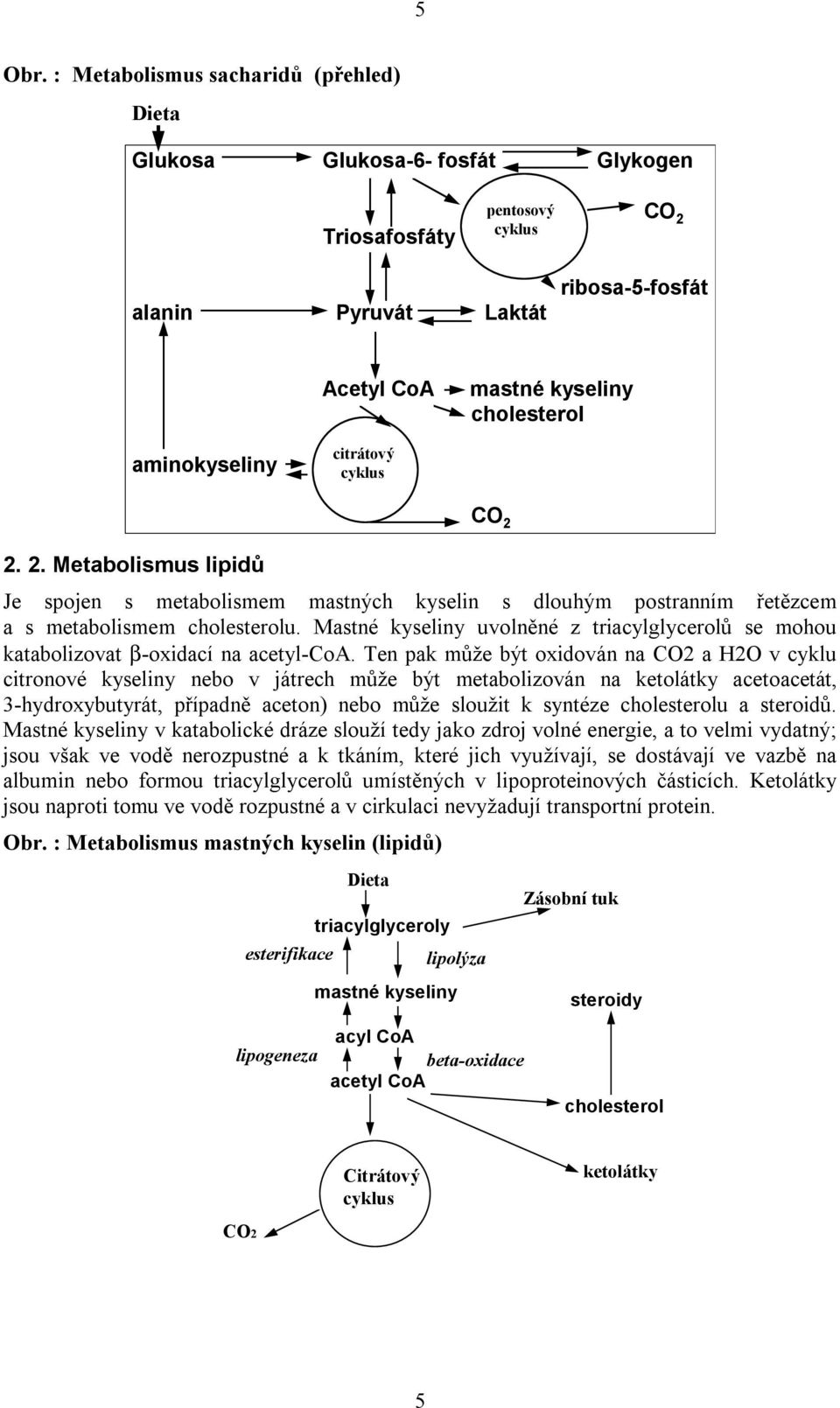 aminokyseliny citrátový cyklus 2. 2. Metabolismus lipidů Je spojen s metabolismem mastných kyselin s dlouhým postranním řetězcem a s metabolismem cholesterolu.