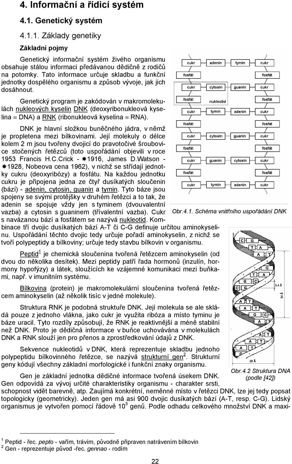 Genetický program je zakódován v makromolekulách nukleových kyselin DNK (deoxyribonukleová kyselina DNA) a RNK (ribonukleová kyselina RNA).