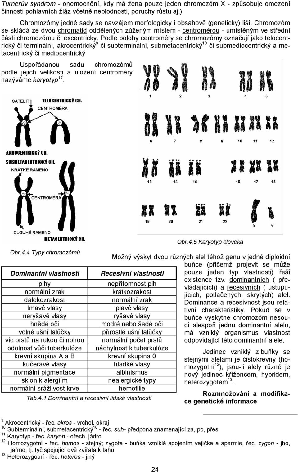 Chromozóm se skládá ze dvou chromatid oddělených zúženým místem - centromérou - umístěným ve střední části chromozómu či excentricky.