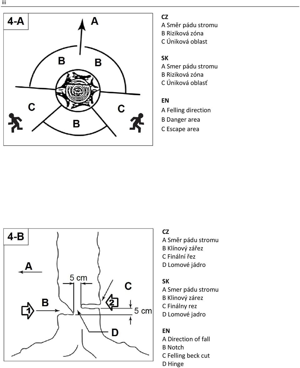Směr pádu stromu B Klínový zářez C Finální řez D Lomové jádro SK A Smer pádu stromu B
