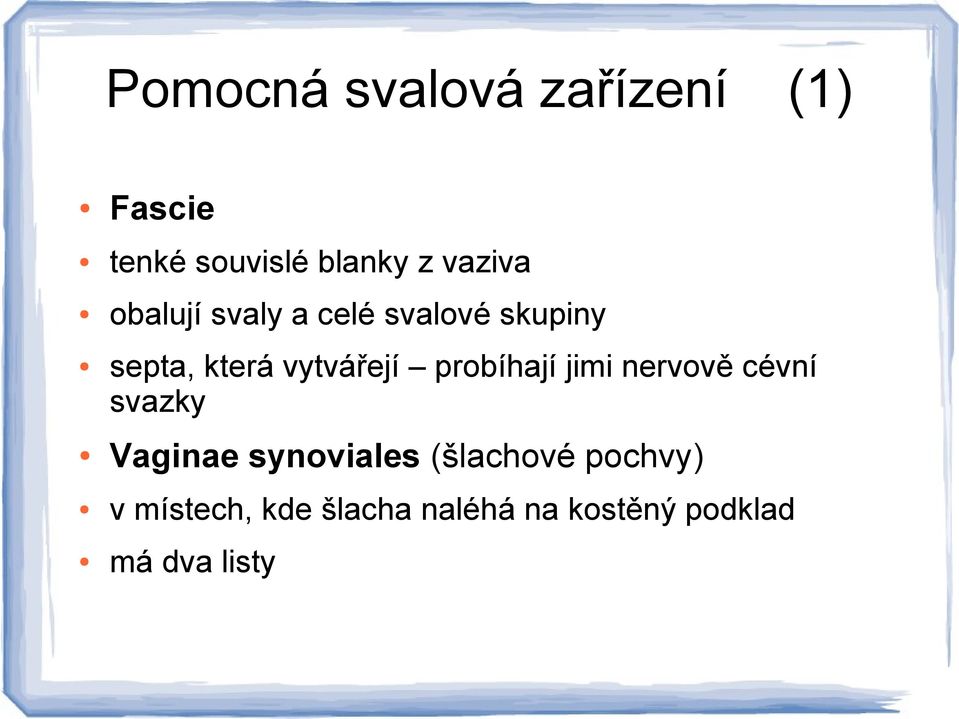 probíhají jimi nervově cévní svazky Vaginae synoviales (šlachové