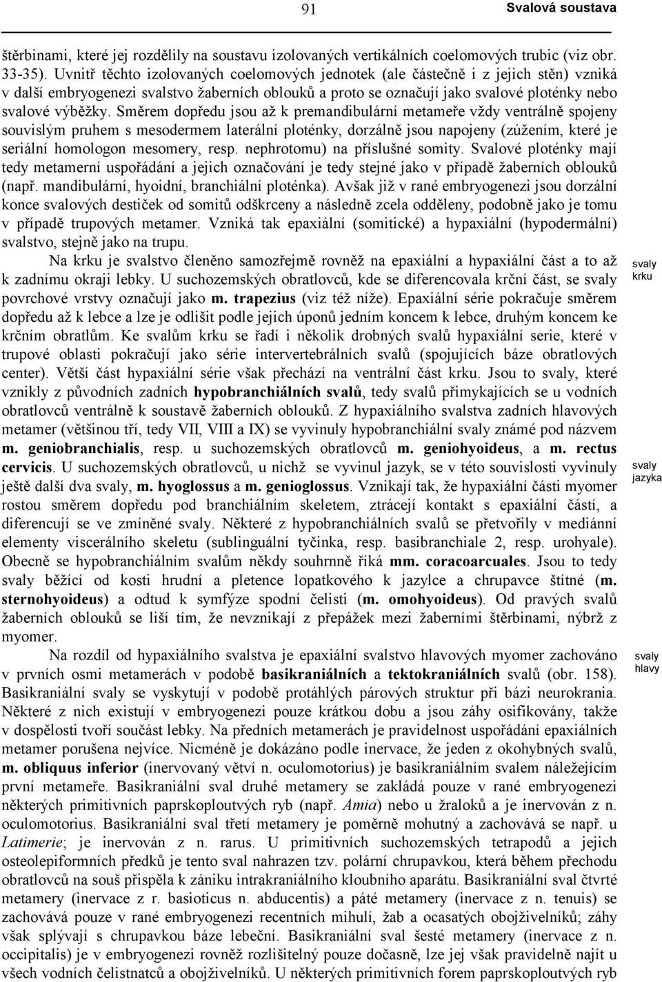 Směrem dopředu jsou až k premandibulární metameře vždy ventrálně spojeny souvislým pruhem s mesodermem laterální ploténky, dorzálně jsou napojeny (zúžením, které je seriální homologon mesomery, resp.