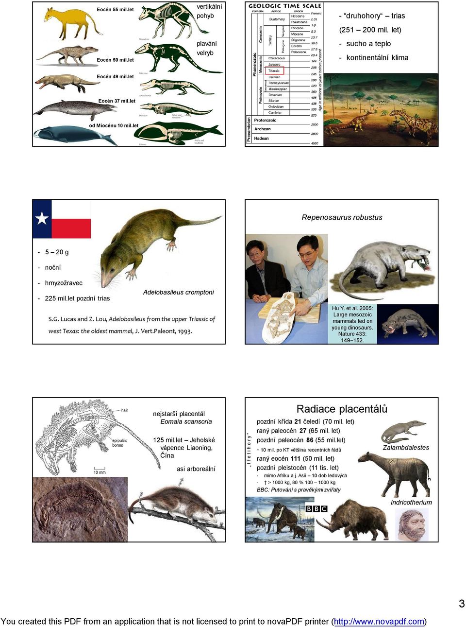 Lou, Adelobasileus from the upper Triassic of west Texas: the oldest mammal, J. Vert.Paleont, 1993. Hu Y. et al. 2005: Large mesozoic mammals fed on young dinosaurs. Nature 433: 149 152.