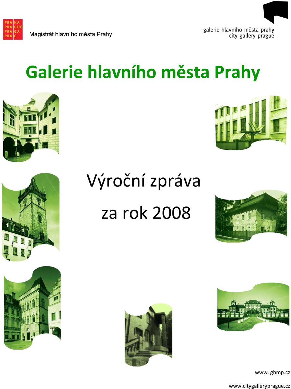 zpráva za rok 2008 www.