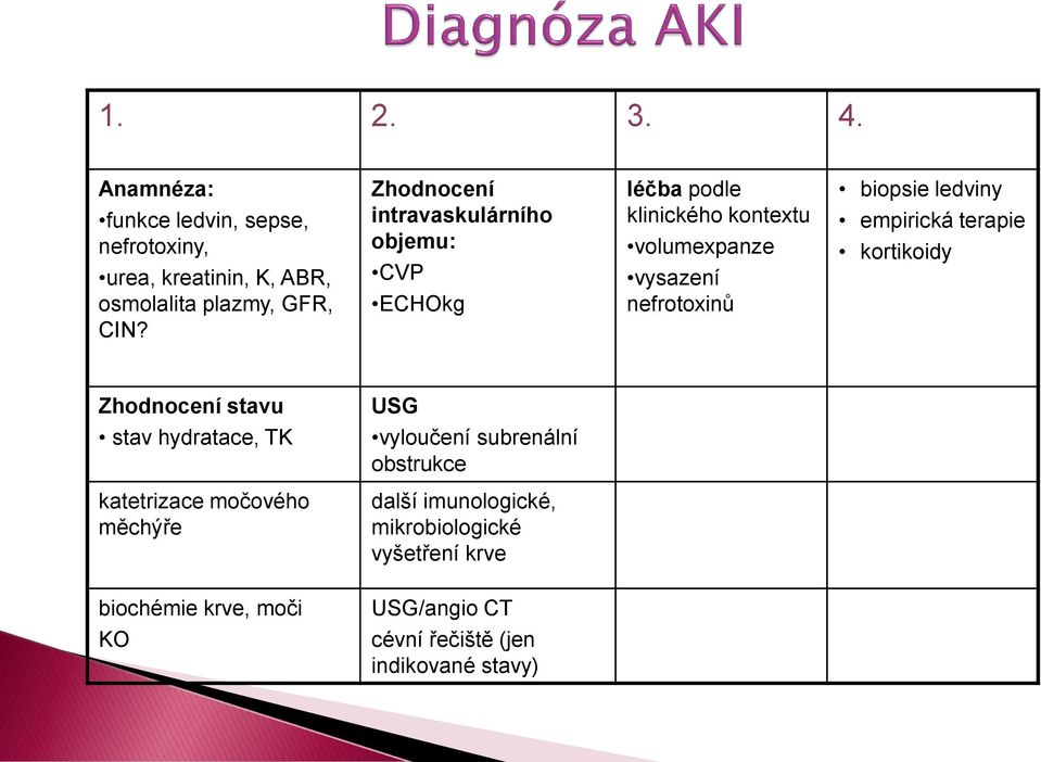 ledviny empirická terapie kortikoidy Zhodnocení stavu USG stav hydratace, TK vyloučení subrenální obstrukce katetrizace