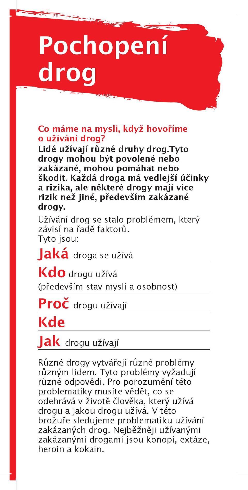 Tyto jsou: Jaká droga se užívá Kdo drogu užívá (především stav mysli a osobnost) Proč drogu užívají Kde Jak drogu užívají Různé drogy vytvářejí různé problémy různým lidem.