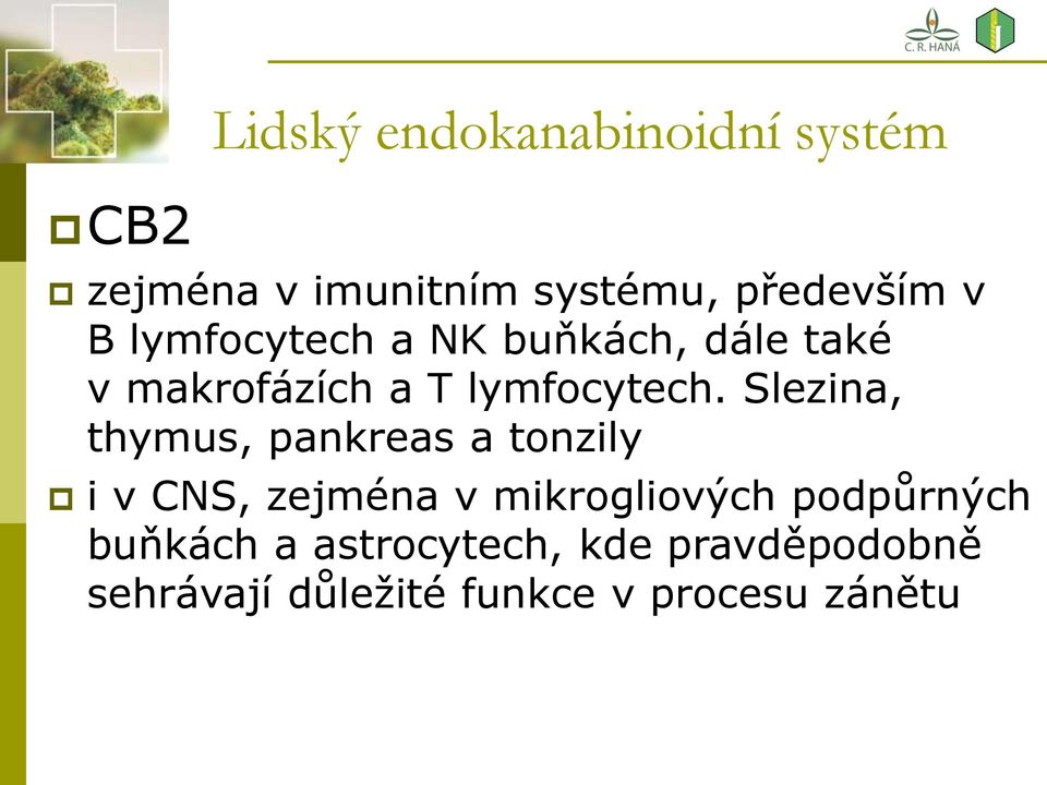 Slezina, thymus, pankreas a tonzily i v CNS, zejména v mikrogliových