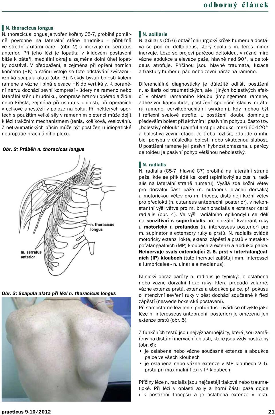 V předpažení, a zejména při opření horních končetin (HK) o stěnu vstoje se toto odstávání zvýrazní - vzniká scapula alata (obr. 3).