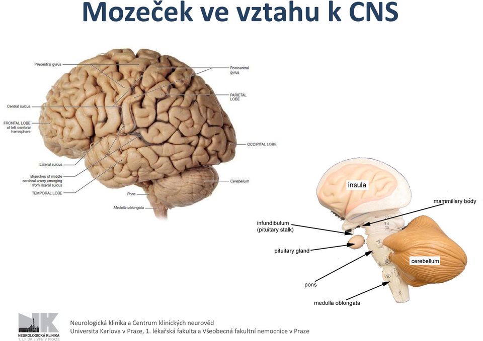 Universita Karlova v Praze, 1.