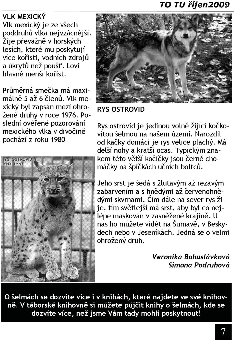 RYS OSTROVID TO TU říjen2009 Rys ostrovid je jedinou volně žijící kočkovitou šelmou na našem území. Narozdíl od kačky domácí je rys velice plachý. Má delší nohy a kratší ocas.