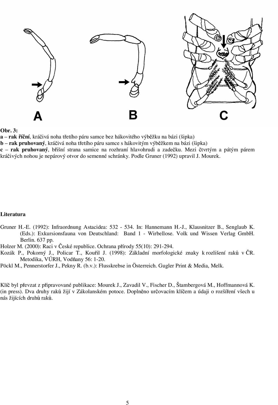 (992): Infraordnung Astacidea: 532-534. In: Hannemann H.-J., Klausnitzer B., Senglaub K. (Eds.): Exkursionsfauna von Deutschland: Band - Wirbellose. Volk und Wissen Verlag GmbH. Berlin. 637 pp.