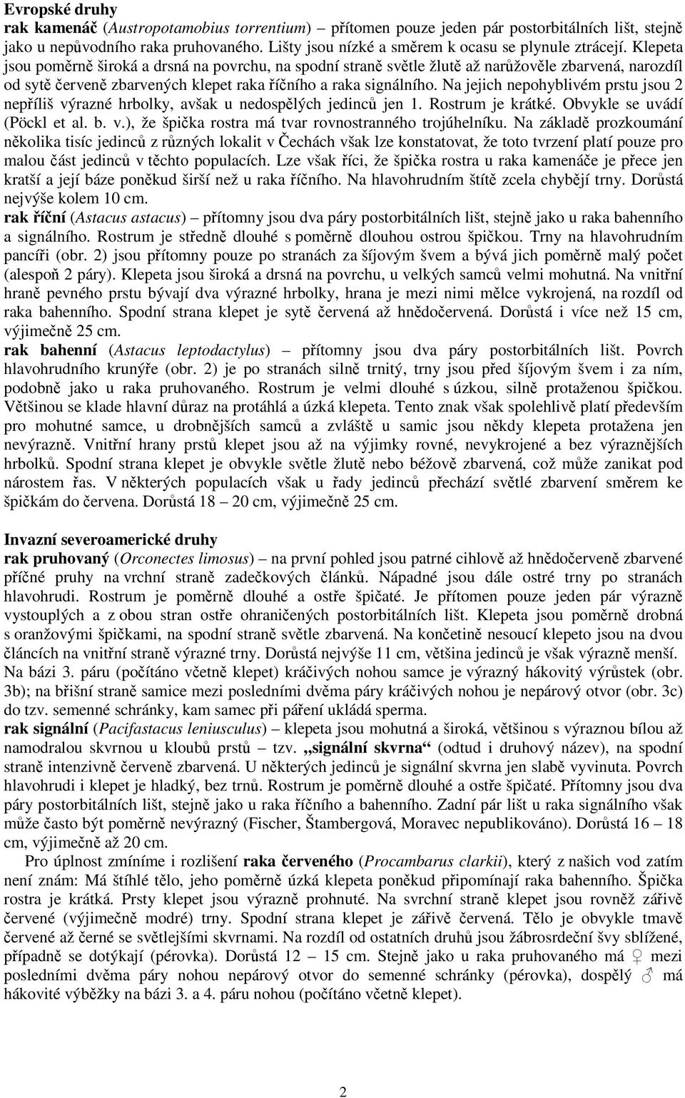 Na jejich nepohyblivém prstu jsou 2 nepíliš výrazné hrbolky, avšak u nedosplých jedinc jen. Rostrum je krátké. Obvykle se uvádí (Pöckl et al. b. v.), že špika rostra má tvar rovnostranného trojúhelníku.