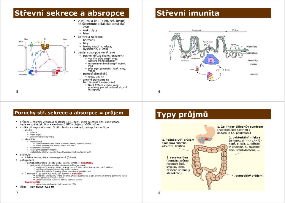 ionty, voda) pomocí přenašečůř ionty, Glc, AK aktivní transport na bazolaterální membráně Na/K ATPáza vytváří konc. gradienty pro sekundárně aktivní transporty Střevní imunita 6 Poruchy stř.