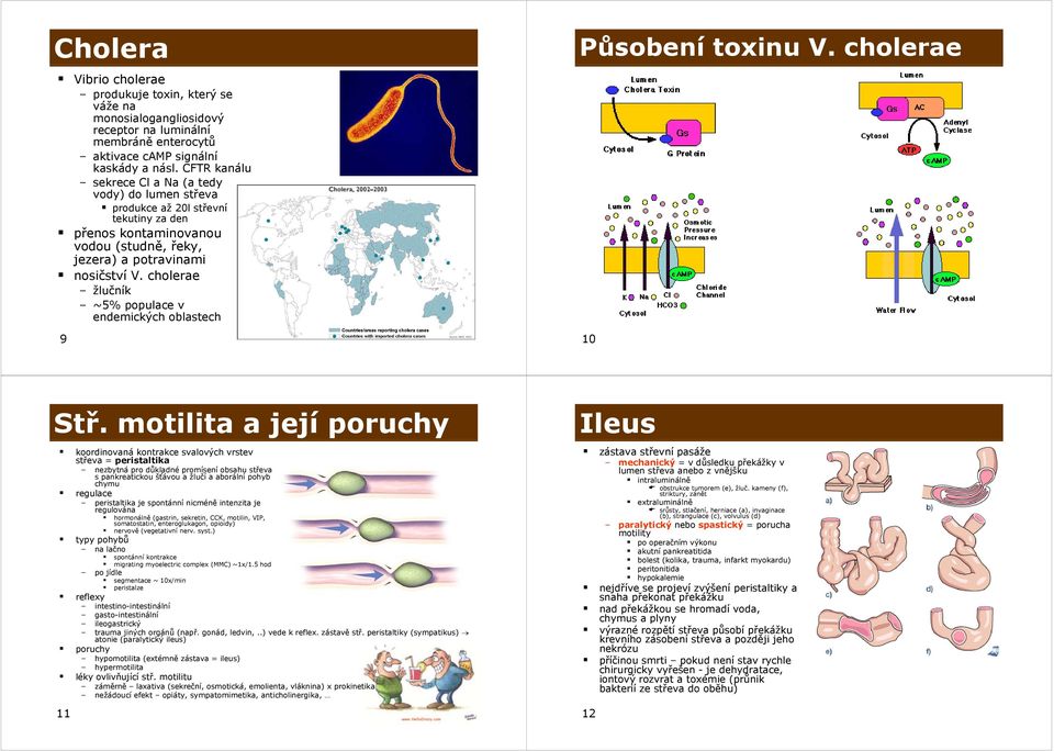 cholerae žlučník ~5% populace v endemických oblastech 9 Působení toxinu V. cholerae 10 Stř.