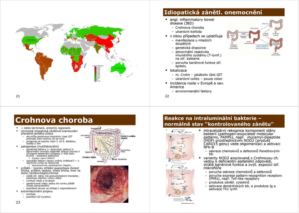 ) na stř. bakterie porucha bariérové funkce stř. epitelu lokalizace m. Crohn jakákoliv část GIT ulcerózní colitis pouze colon incidence roste v Evropě a sev.