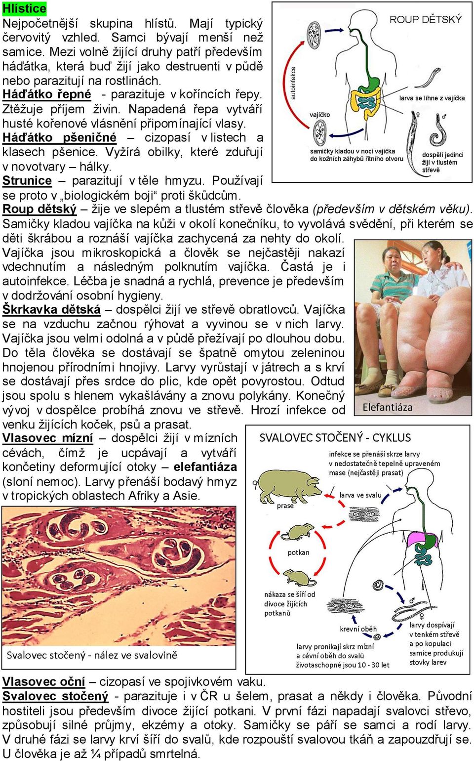 Napadená řepa vytváří husté kořenové vlásnění připomínající vlasy. Háďátko pšeničné cizopasí v listech a klasech pšenice. Vyžírá obilky, které zduřují v novotvary hálky.