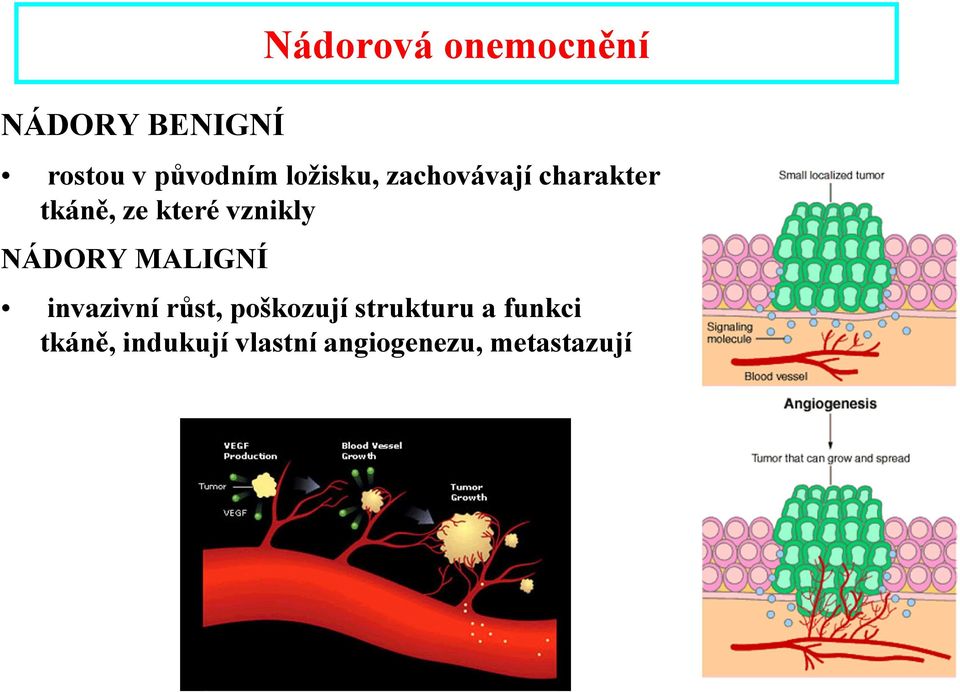 vznikly NÁDORY MALIGNÍ invazivní růst, poškozují