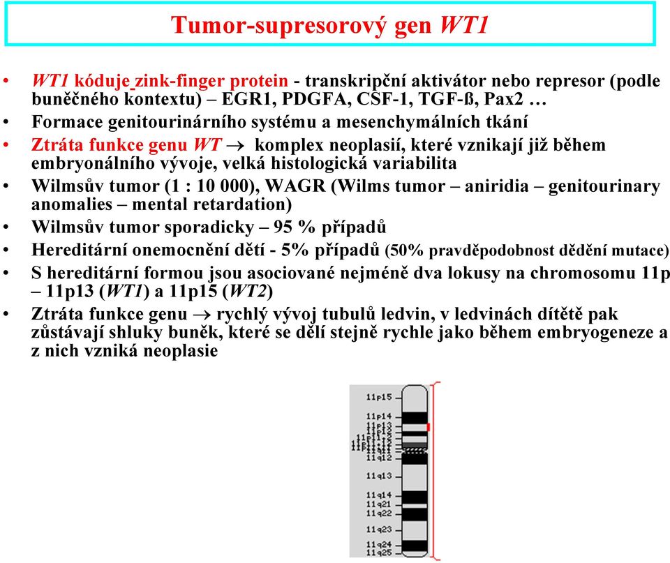 genitourinary anomalies mental retardation) Wilmsův tumor sporadicky 95 % případů Hereditární onemocnění dětí - 5% případů (50% pravděpodobnost dědění mutace) S hereditární formou jsou asociované