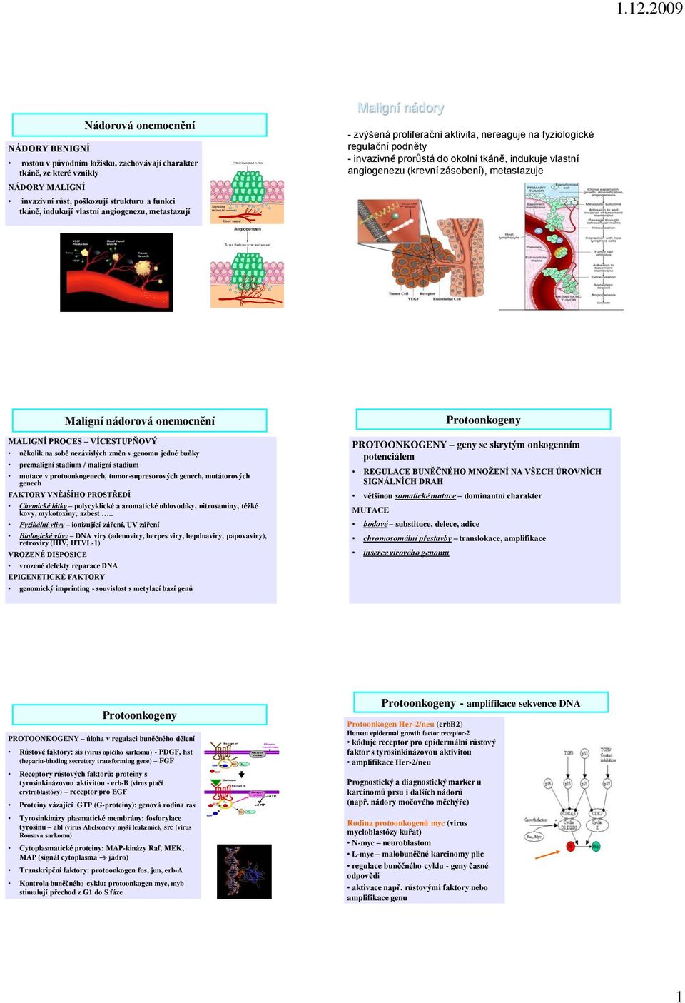zásobení), metastazuje Maligní nádorová onemocnění MALIGNÍ PROCES VÍCESTUPŇOVÝ několik na sobě nezávislých změn v genomu jedné buňky premaligní stadium / maligní stadium mutace v protoonkogenech,