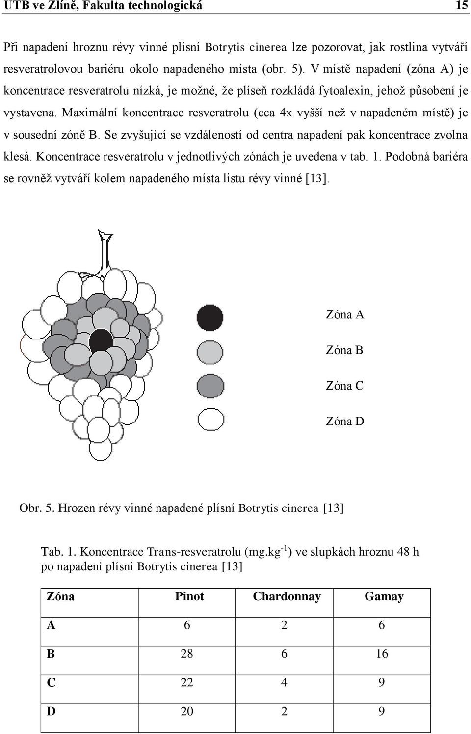 Maximální koncentrace resveratrolu (cca 4x vyšší než v napadeném místě) je v sousední zóně B. Se zvyšující se vzdáleností od centra napadení pak koncentrace zvolna klesá.