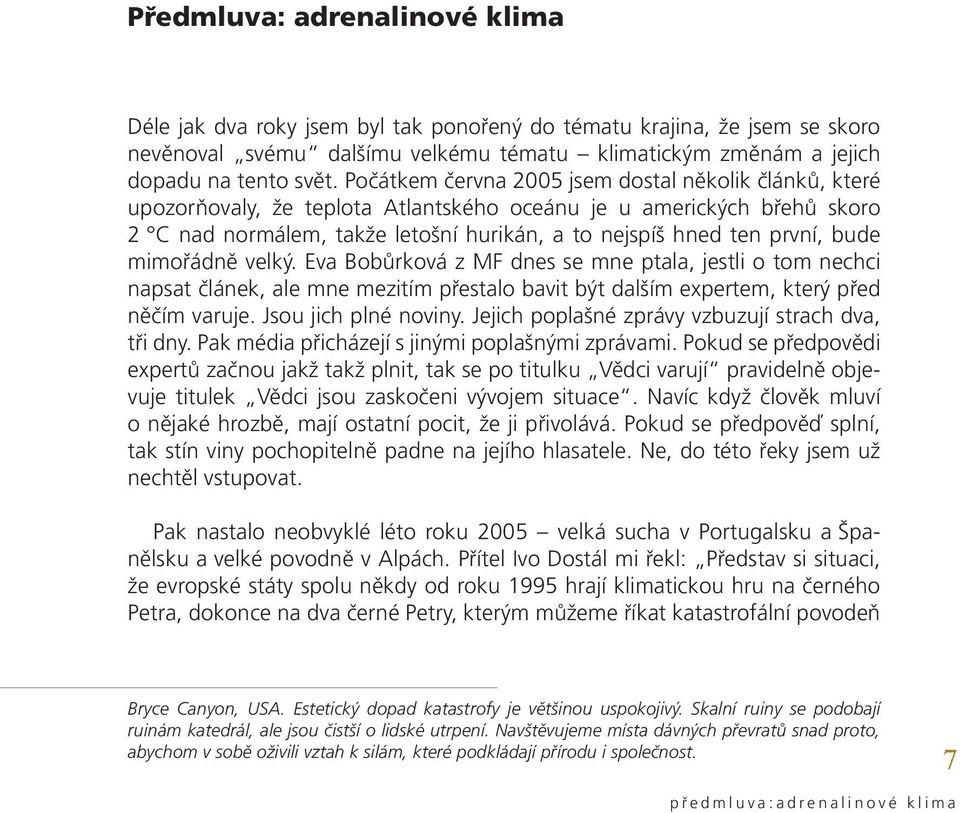 bude mimořádně velký. Eva Bobůrková z MF dnes se mne ptala, jestli o tom nechci napsat článek, ale mne mezitím přestalo bavit být dalším expertem, který před něčím varuje. Jsou jich plné noviny.