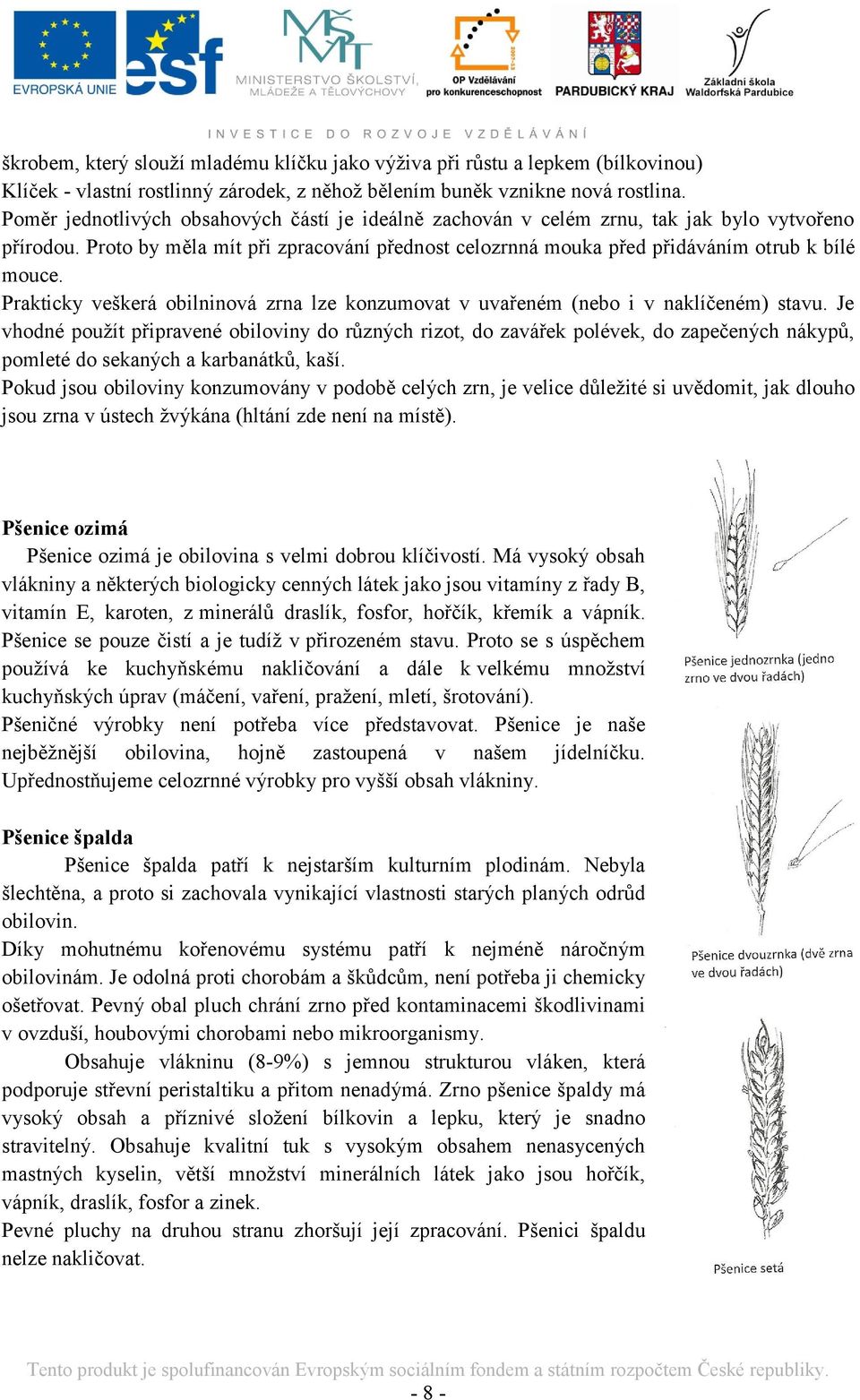 Prakticky veškerá obilninová zrna lze konzumovat v uvařeném (nebo i v naklíčeném) stavu.