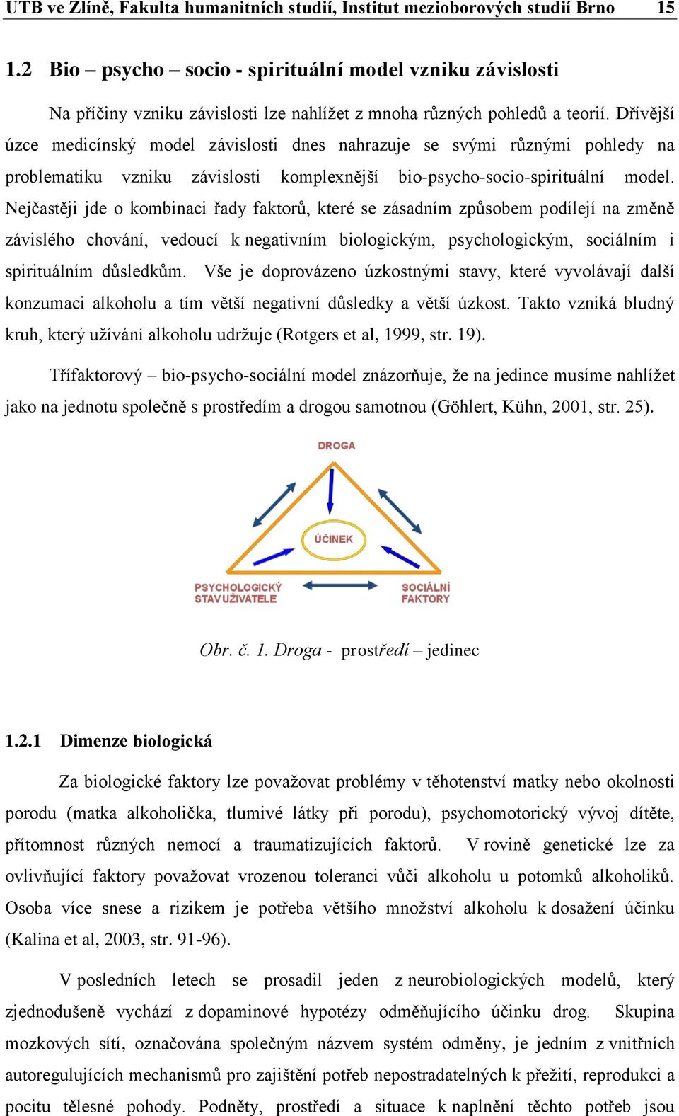 Dřívější úzce medicínský model závislosti dnes nahrazuje se svými různými pohledy na problematiku vzniku závislosti komplexnější bio-psycho-socio-spirituální model.