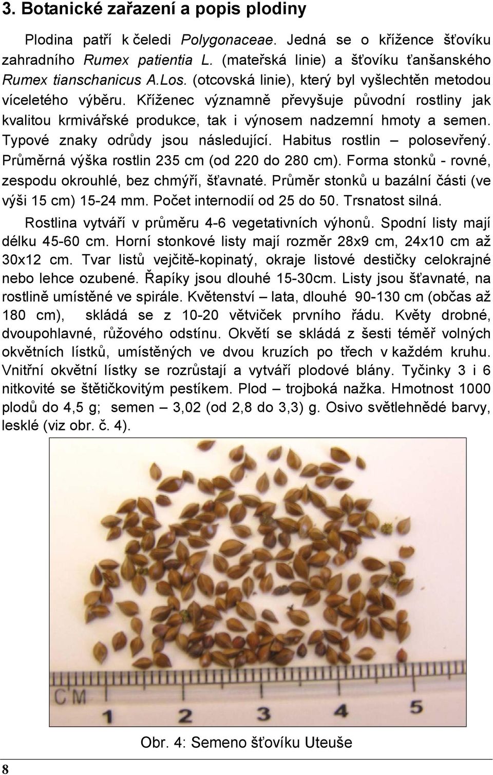 Typové znaky odrůdy jsou následující. Habitus rostlin polosevřený. Průměrná výška rostlin 235 cm (od 220 do 280 cm). Forma stonků - rovné, zespodu okrouhlé, bez chmýří, šťavnaté.