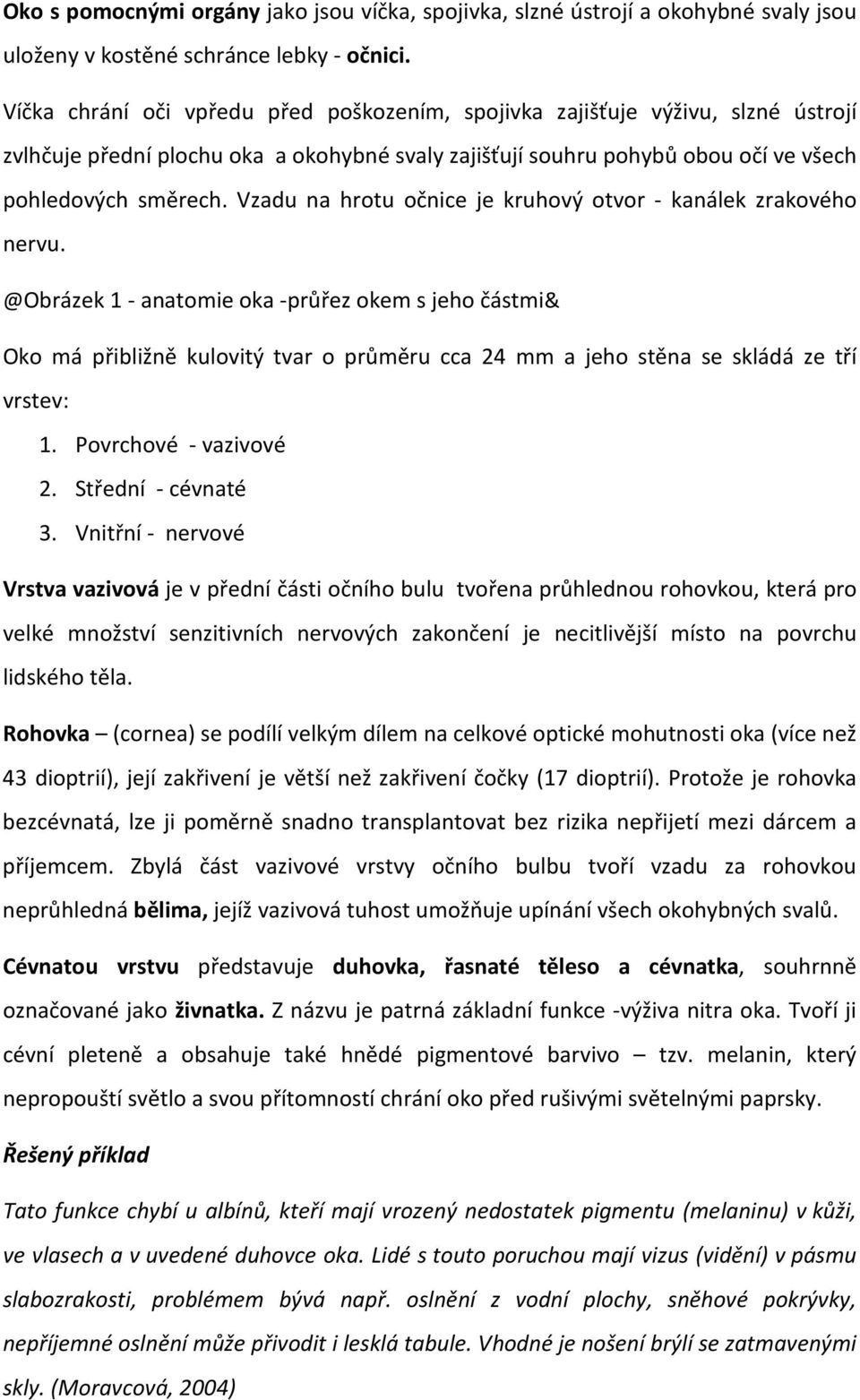 Vzadu na hrotu očnice je kruhový otvor - kanálek zrakového nervu.