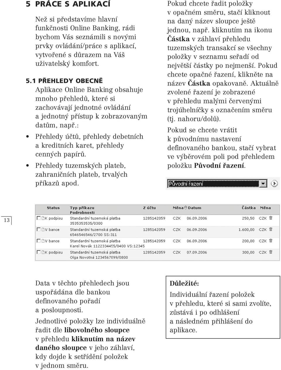 : Přehledy účtů, přehledy debetních a kreditních karet, přehledy cenných papírů. Přehledy tuzemských plateb, zahraničních plateb, trvalých příkazů apod.