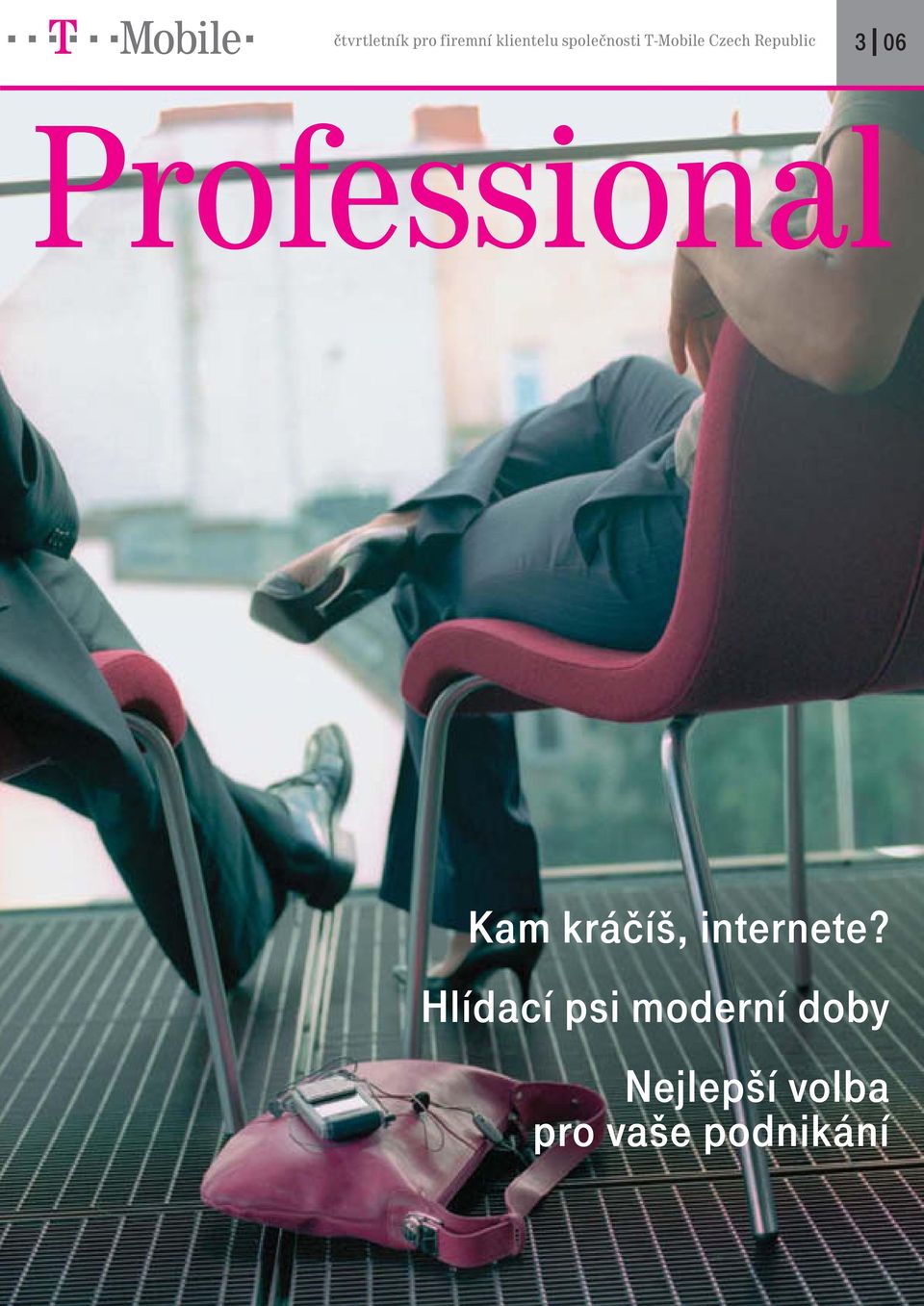 Professional Kam kráčíš, internete?