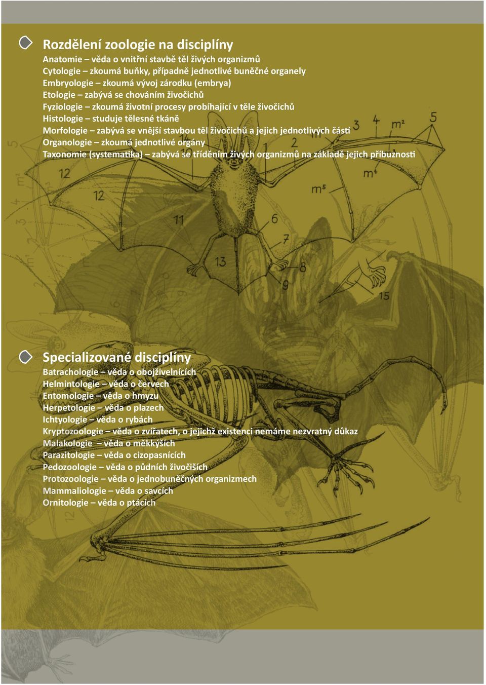 čás Organologie zkoumá jednotlivé orgány Taxonomie (systema ka) zabývá se tříděním živých organizmů na základě jejich příbuznos Specializované disciplíny Batrachologie věda o obojživelnících