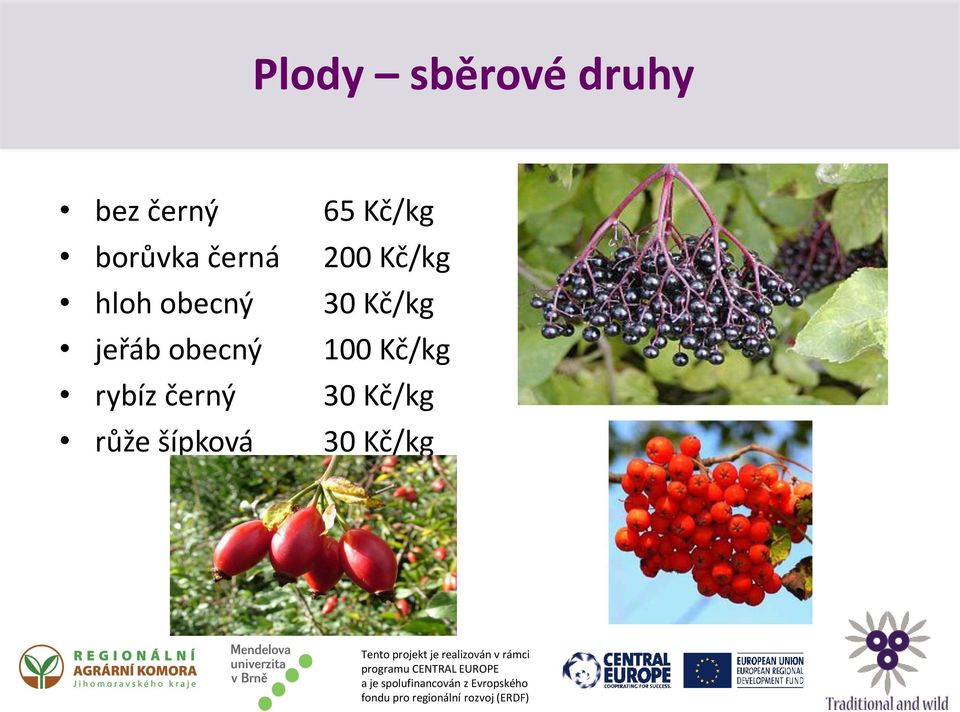 černý růže šípková 65 Kč/kg 200 Kč/kg