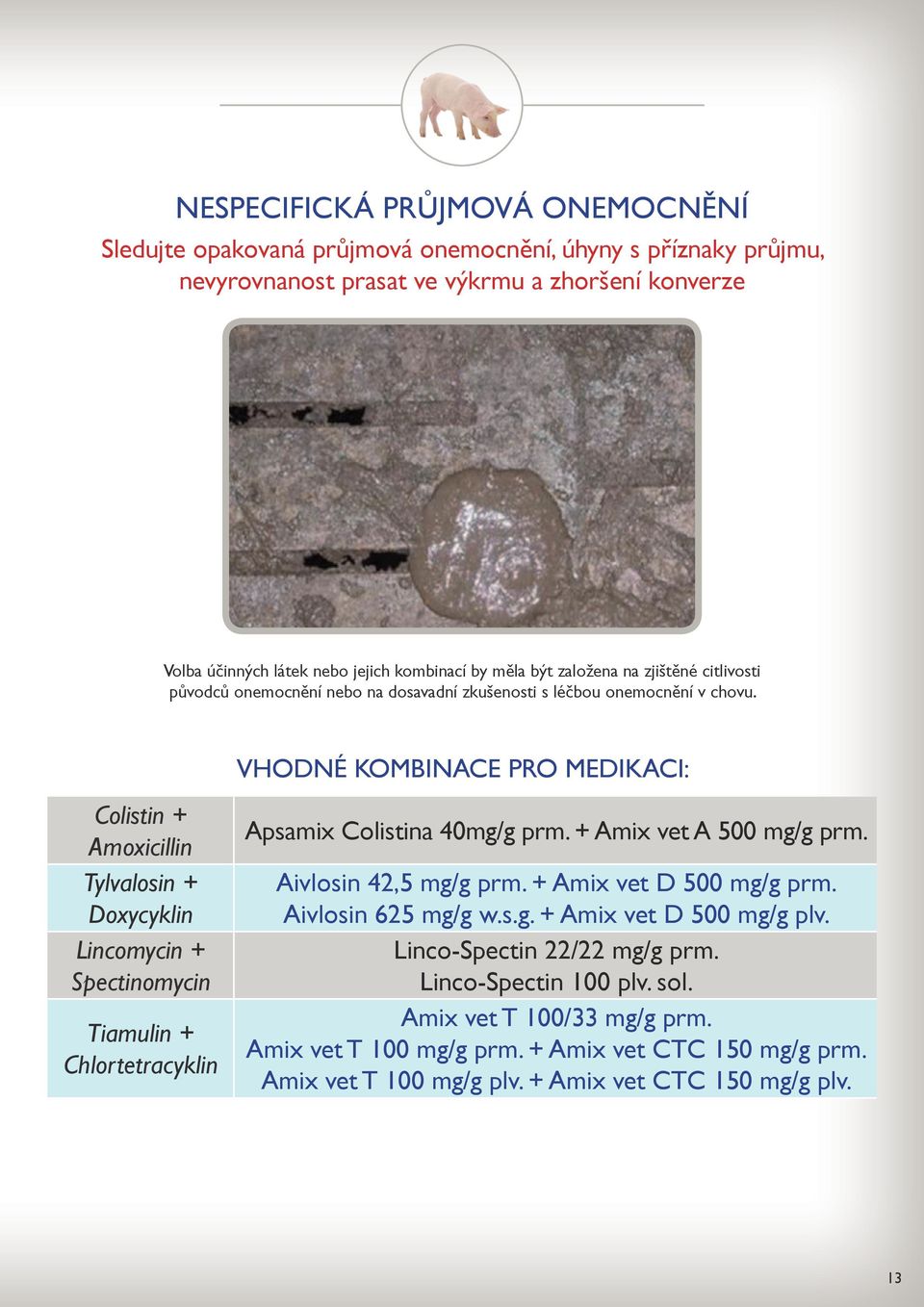 Colistin + Amoxicillin Tylvalosin + Doxycyklin Lincomycin + Spectinomycin Tiamulin + Chlortetracyklin VHODNÉ KOMBINACE PRO MEDIKACI: Apsamix Colistina 40mg/g prm. + Amix vet A 500 mg/g prm.