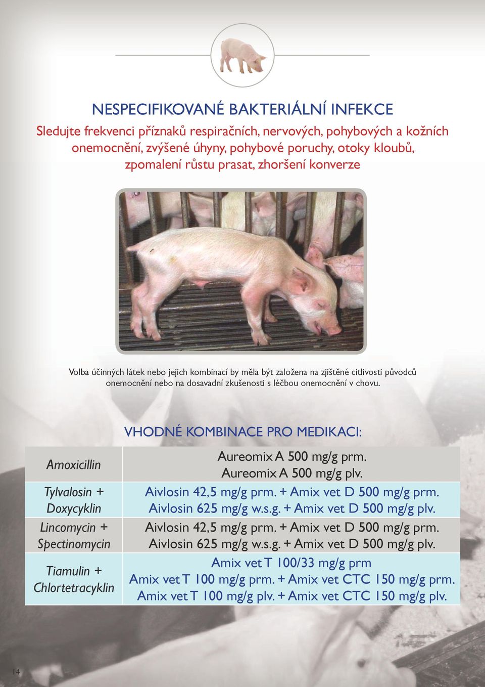 Amoxicillin Tylvalosin + Doxycyklin Lincomycin + Spectinomycin Tiamulin + Chlortetracyklin VHODNÉ KOMBINACE PRO MEDIKACI: Aureomix A 500 mg/g prm. Aureomix A 500 mg/g plv. Aivlosin 42,5 mg/g prm.